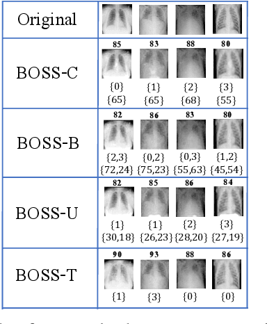 Figure 3 for BOSS: Bidirectional One-Shot Synthesis of Adversarial Examples