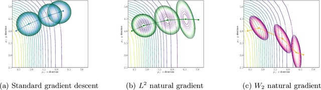 Figure 2 for Efficient Natural Gradient Descent Methods for Large-Scale Optimization Problems