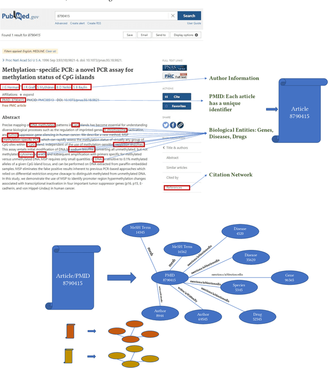 Figure 2 for MedGraph: An experimental semantic information retrieval method using knowledge graph embedding for the biomedical citations indexed in PubMed