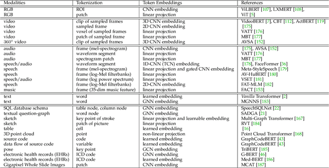 Figure 4 for Multimodal Learning with Transformers: A Survey