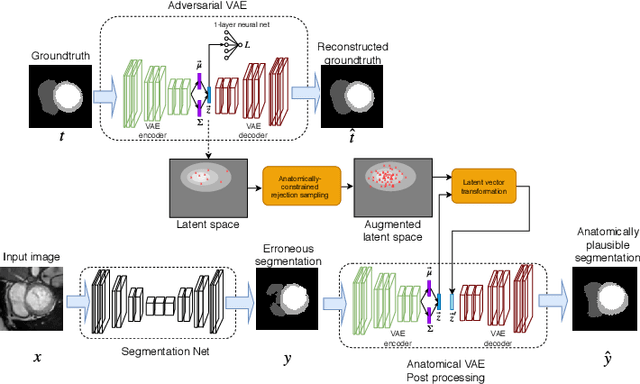 Figure 1 for Cardiac MRI Segmentation with Strong Anatomical Guarantees