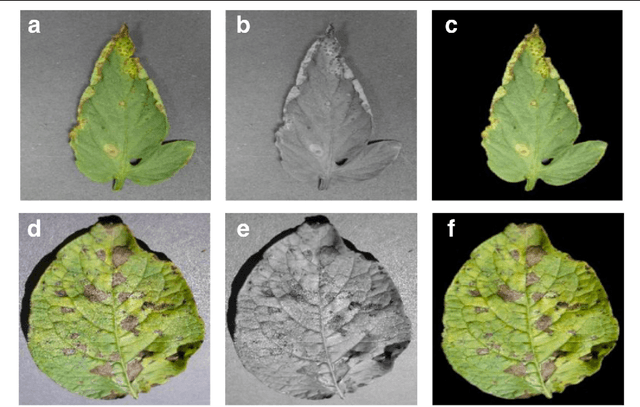 Figure 3 for Using Deep Learning for Image-Based Plant Disease Detection