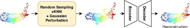 Figure 1 for SeRP: Self-Supervised Representation Learning Using Perturbed Point Clouds