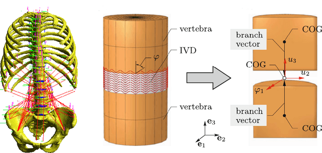Figure 1 for Biomechanical surrogate modelling using stabilized vectorial greedy kernel methods
