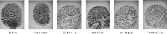 Figure 1 for AILearn: An Adaptive Incremental Learning Model for Spoof Fingerprint Detection