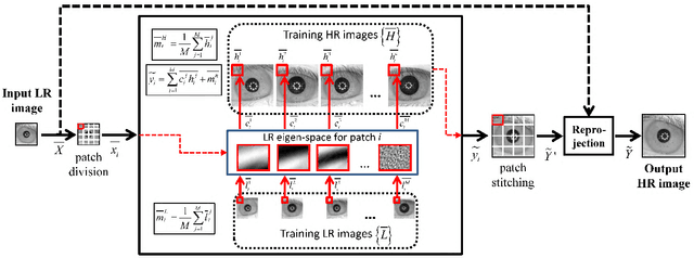 Figure 1 for A Survey of Super-Resolution in Iris Biometrics with Evaluation of Dictionary-Learning