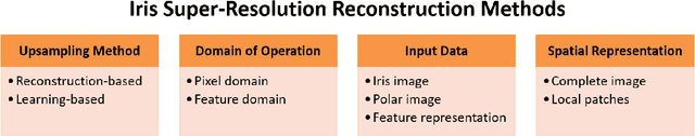 Figure 4 for A Survey of Super-Resolution in Iris Biometrics with Evaluation of Dictionary-Learning