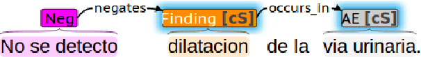 Figure 4 for Creation of an Annotated Corpus of Spanish Radiology Reports