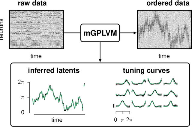 Figure 2 for Manifold GPLVMs for discovering non-Euclidean latent structure in neural data