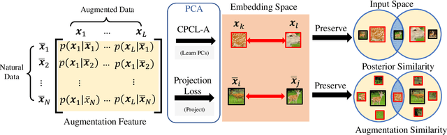 Figure 3 for Contrastive Principal Component Learning: Modeling Similarity by Augmentation Overlap