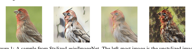 Figure 1 for Texture Bias Of CNNs Limits Few-Shot Classification Performance