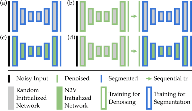 Figure 1 for Leveraging Self-supervised Denoising for Image Segmentation