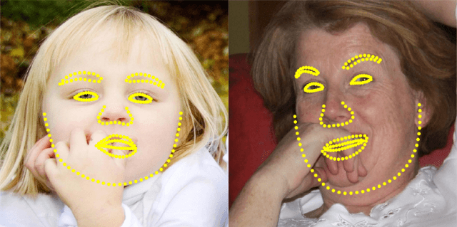 Figure 1 for DeepFake Detection with Inconsistent Head Poses: Reproducibility and Analysis