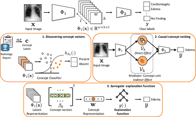 Figure 1 for Using Causal Analysis for Conceptual Deep Learning Explanation