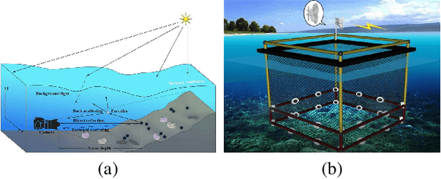 Figure 1 for Real-world Underwater Enhancement: Challenging, Benchmark and Efficient Solutions