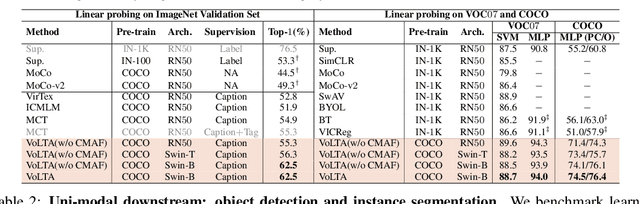 Figure 1 for VoLTA: Vision-Language Transformer with Weakly-Supervised Local-Feature Alignment