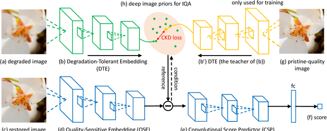 Figure 3 for Learning Conditional Knowledge Distillation for Degraded-Reference Image Quality Assessment