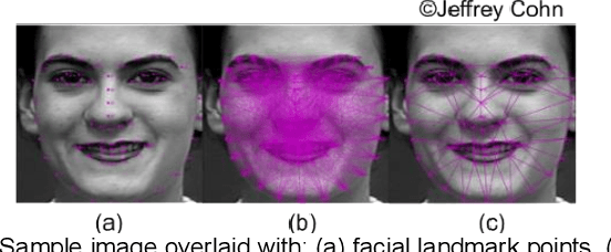 Figure 1 for Deep Adaptation of Adult-Child Facial Expressions by Fusing Landmark Features