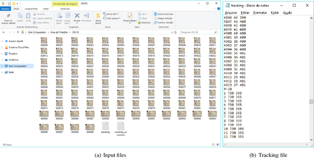 Figure 3 for A Software to Detect OCC Emotion, Big-Five Personality and Hofstede Cultural Dimensions of Pedestrians from Video Sequences