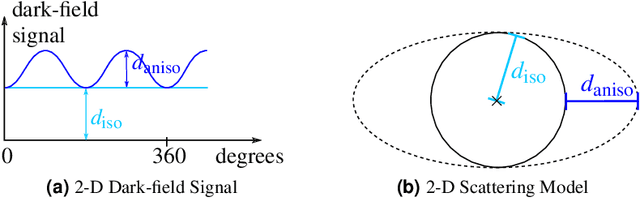 Figure 3 for A 3-D Projection Model for X-ray Dark-field Imaging