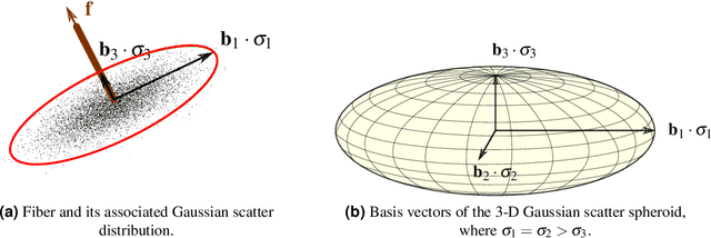 Figure 4 for A 3-D Projection Model for X-ray Dark-field Imaging