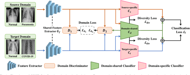 Figure 1 for COVID-DA: Deep Domain Adaptation from Typical Pneumonia to COVID-19