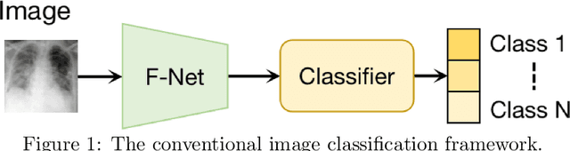 Figure 1 for A novel adversarial learning strategy for medical image classification