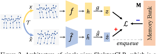 Figure 3 for 3D Human Action Representation Learning via Cross-View Consistency Pursuit