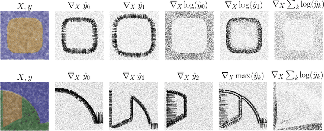 Figure 1 for Training Machine Learning Models by Regularizing their Explanations