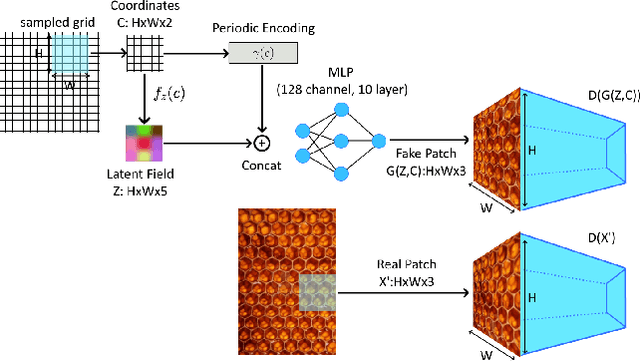 Figure 3 for Exemplar-based Pattern Synthesis with Implicit Periodic Field Network