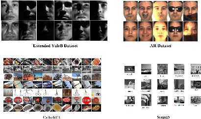 Figure 1 for Analysis Dictionary Learning: An Efficient and Discriminative Solution