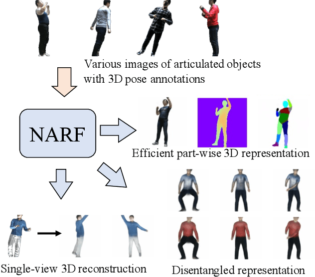 Figure 1 for Neural Articulated Radiance Field