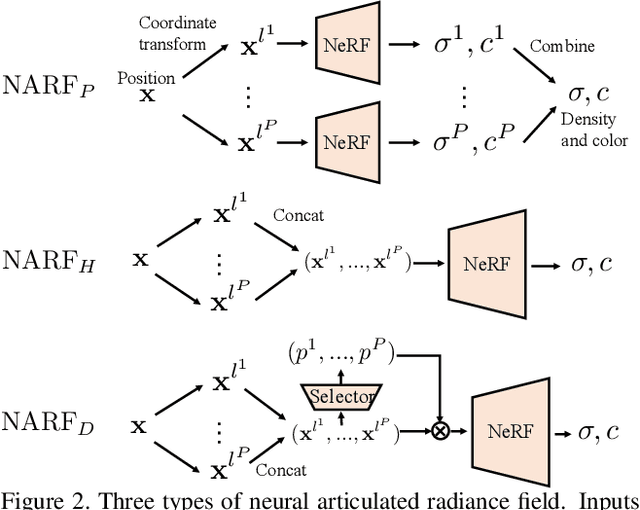 Figure 3 for Neural Articulated Radiance Field