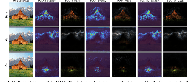 Figure 3 for Poly-CAM: High resolution class activation map for convolutional neural networks