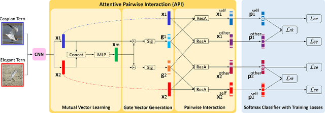 Figure 3 for Learning Attentive Pairwise Interaction for Fine-Grained Classification