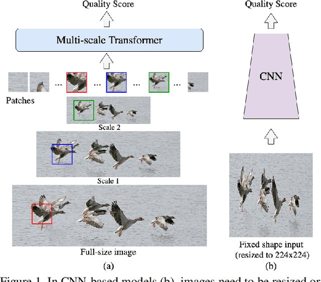 Figure 1 for MUSIQ: Multi-scale Image Quality Transformer