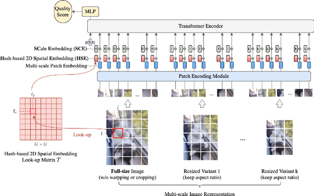 Figure 3 for MUSIQ: Multi-scale Image Quality Transformer