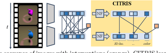 Figure 1 for CITRIS: Causal Identifiability from Temporal Intervened Sequences