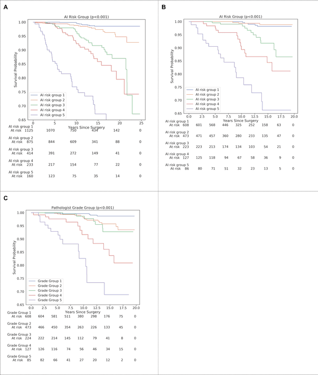 Figure 1 for Predicting Prostate Cancer-Specific Mortality with A.I.-based Gleason Grading