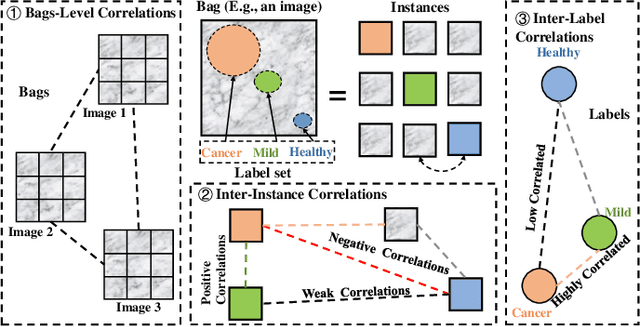 Figure 1 for Single-Stage Broad Multi-Instance Multi-Label Learning (BMIML) with Diverse Inter-Correlations and its application to medical image classification