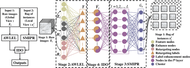 Figure 3 for Single-Stage Broad Multi-Instance Multi-Label Learning  with Diverse Inter-Correlations and its application to medical image classification