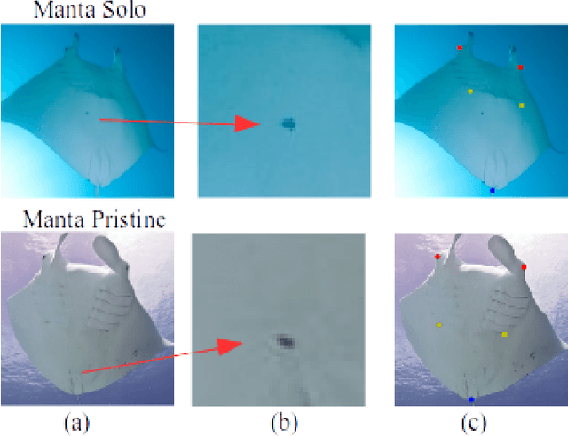 Figure 1 for Learning landmark guided embeddings for animal re-identification