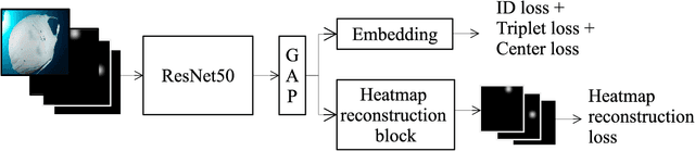 Figure 2 for Learning landmark guided embeddings for animal re-identification