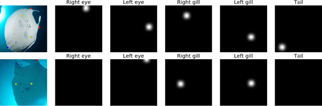 Figure 3 for Learning landmark guided embeddings for animal re-identification