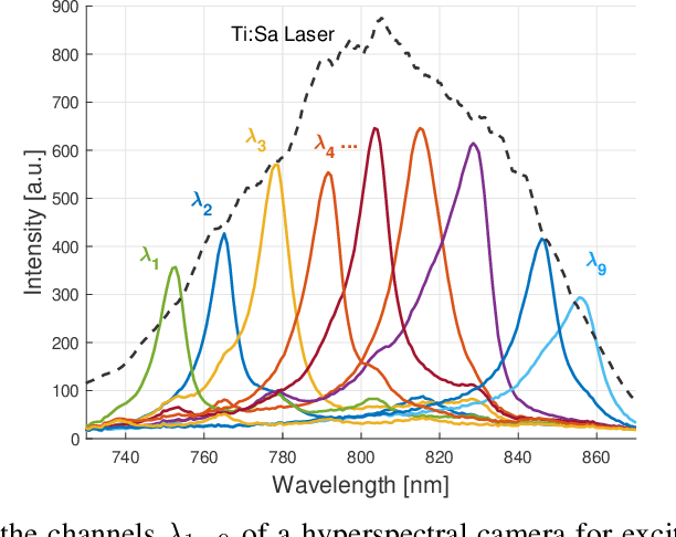 Figure 1 for Picosecond Hyperspectral Fringe Pattern Projection for 3D Surface Measurement