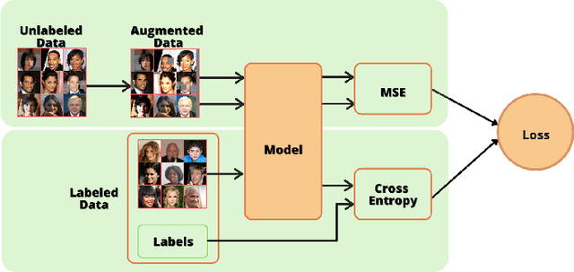 Figure 1 for Harnessing Unlabeled Data to Improve Generalization of Biometric Gender and Age Classifiers