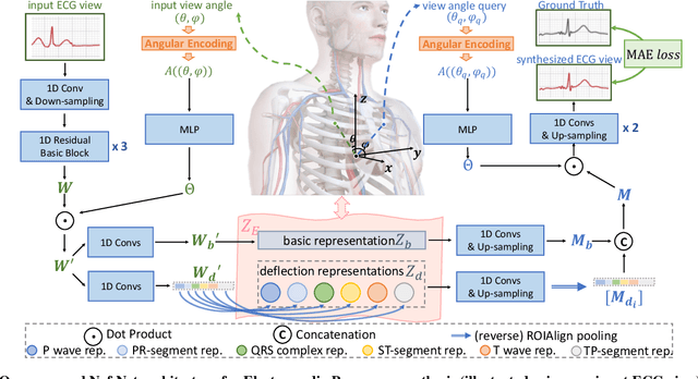Figure 3 for Electrocardio Panorama: Synthesizing New ECG Views with Self-supervision