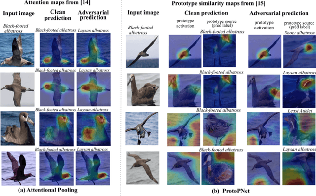 Figure 1 for Towards Robust Fine-grained Recognition by Maximal Separation of Discriminative Features