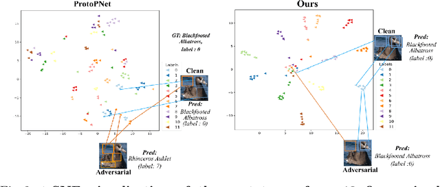 Figure 3 for Towards Robust Fine-grained Recognition by Maximal Separation of Discriminative Features