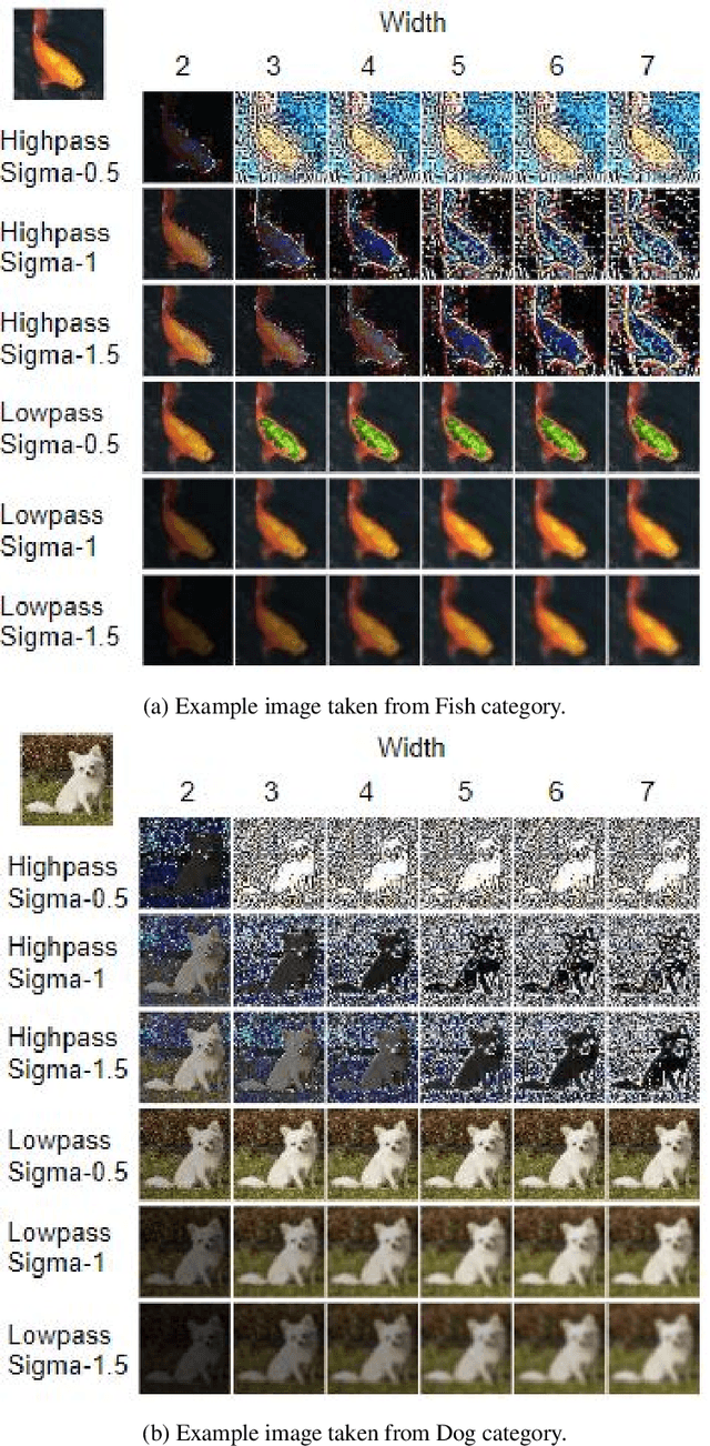 Figure 1 for On the Performance of Convolutional Neural Networks under High and Low Frequency Information